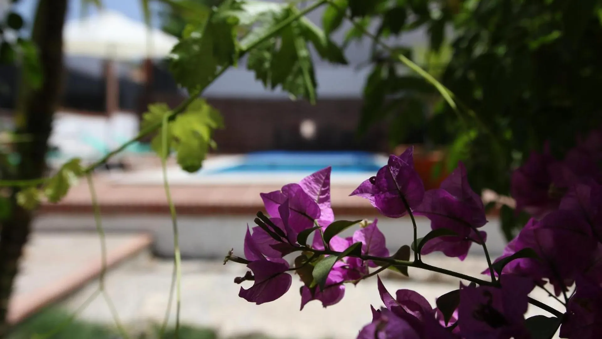 10 Bed Villa With Private Garden And Pool